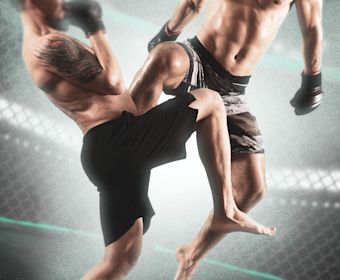 en-br-mma-features-image